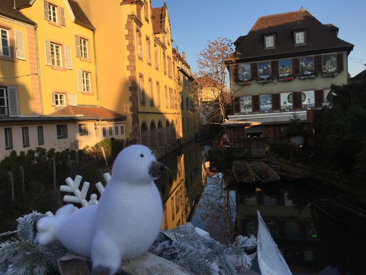 Residence Du Galtz Colmar Esterno foto