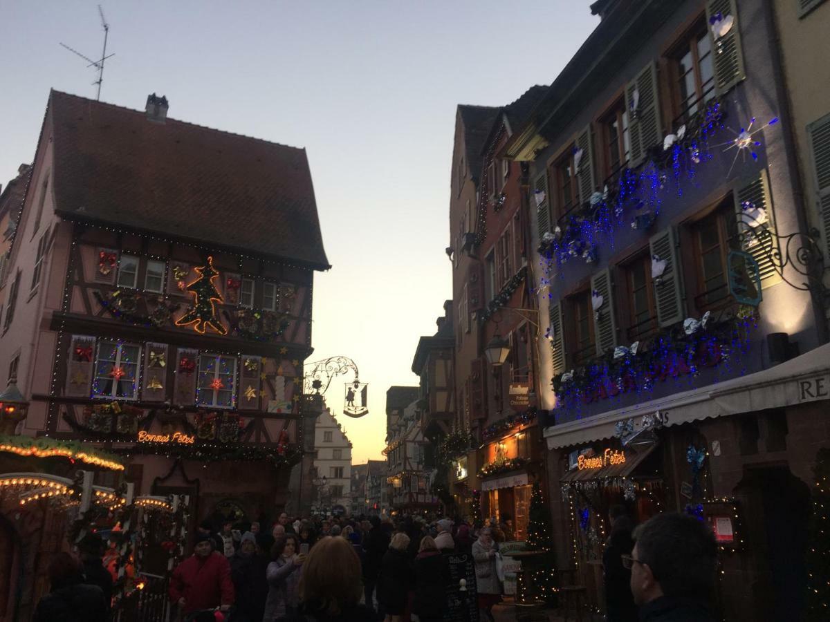 Residence Du Galtz Colmar Esterno foto